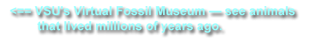 VSU's virtual fossil museum